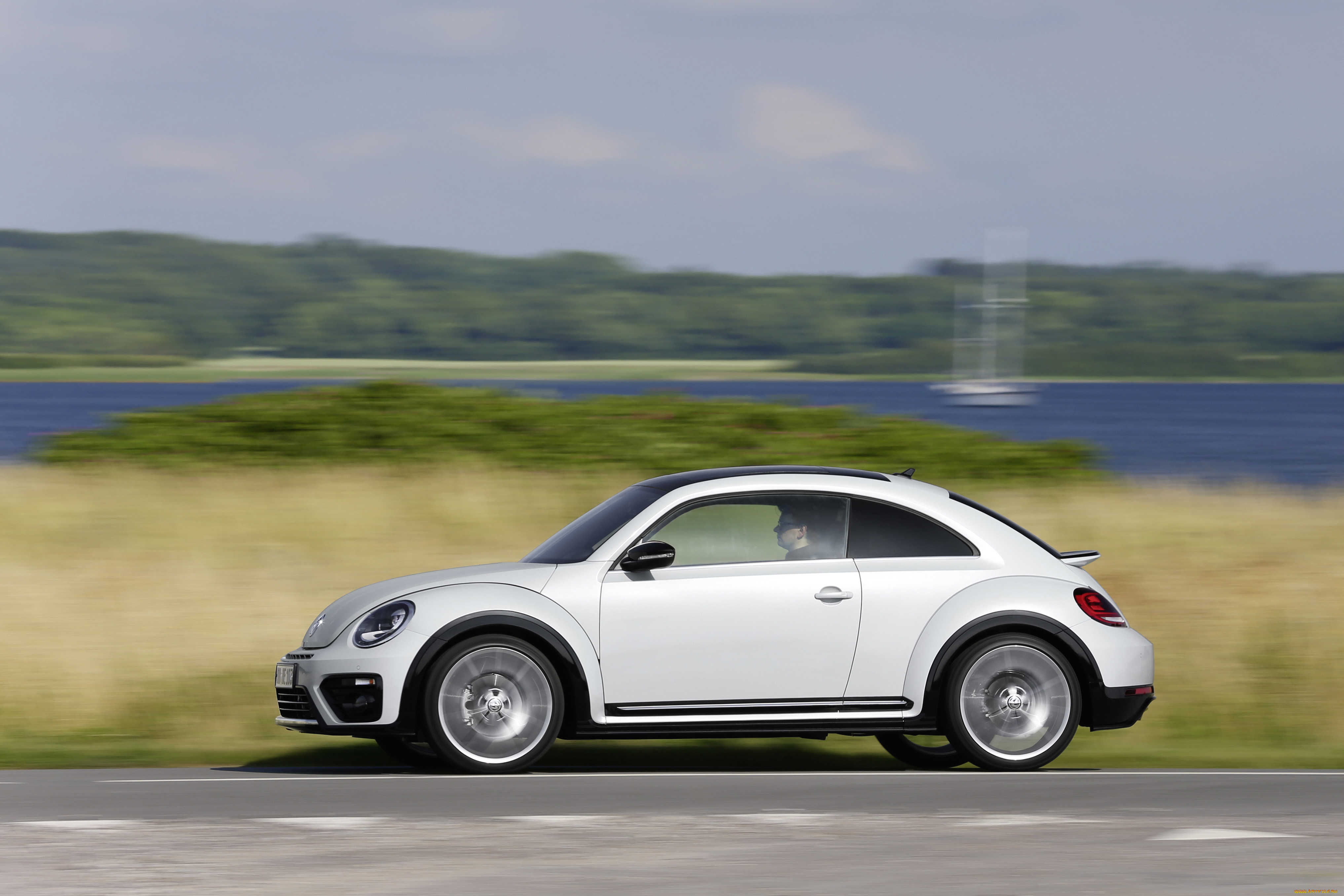 VW Beetle 2016